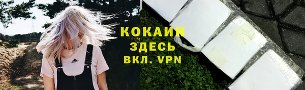 шишки Верея