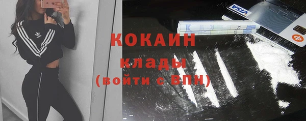 шишки Верея