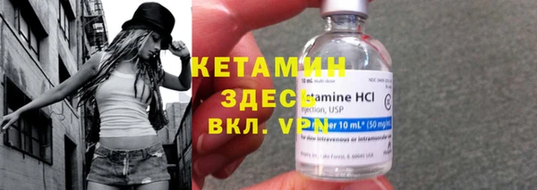 шишки Верея