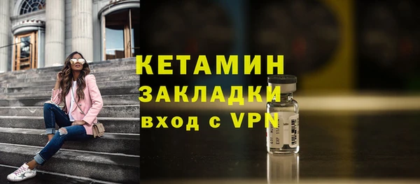 шишки Верея