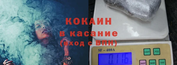 шишки Верея