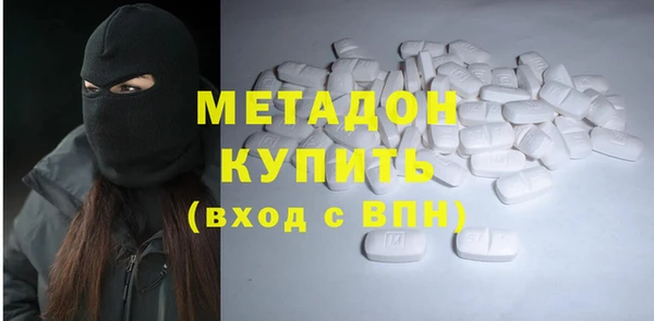 шишки Верея