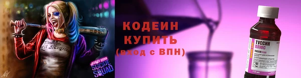 шишки Верея