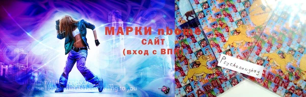 шишки Верея