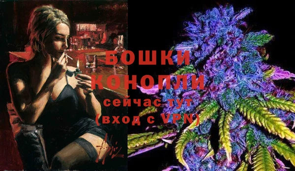 соль ск Бронницы