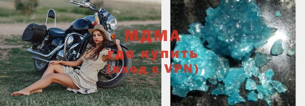 шишки Верея