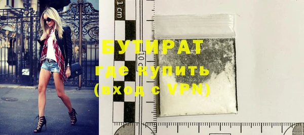 шишки Верея