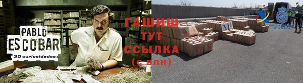 прущие грибы Переславль-Залесский