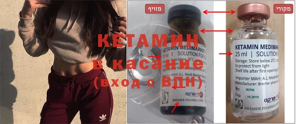 шишки Верея