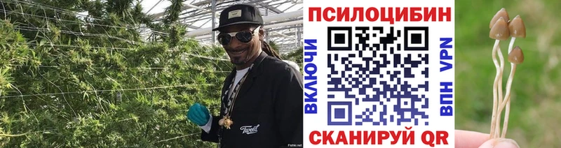 Галлюциногенные грибы прущие грибы  Вятские Поляны 
